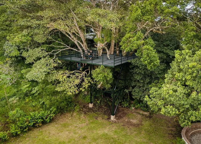 Quiet Miravalles Volcano With Pool Apartment *